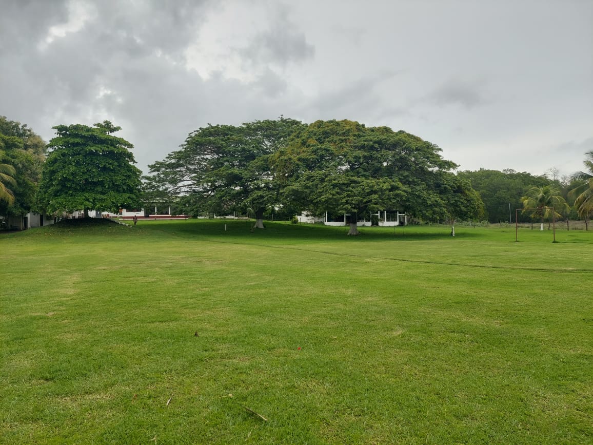 VENDIDA. En venta finca Camaronera ubicada Aldea El Paredón municipio de SIPACATE ESCUINTLA